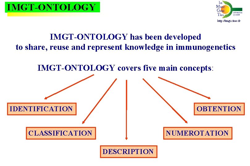 IMGT-ONTOLOGY http: //imgt. cines. fr IMGT-ONTOLOGY has been developed to share, reuse and represent