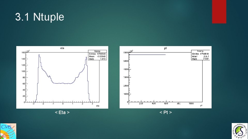 3. 1 Ntuple < Eta > < Pt > 