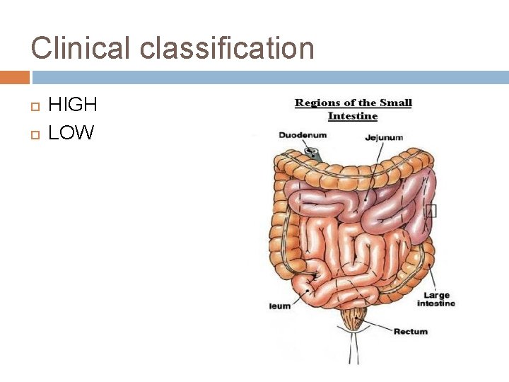 Clinical classification HIGH LOW 