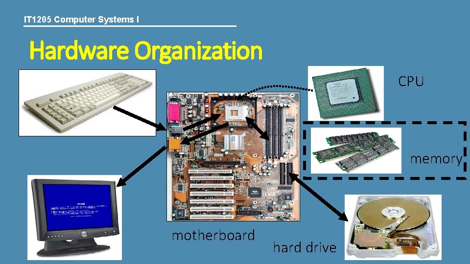 IT 1205 Computer Systems I Hardware Organization CPU memory motherboard hard drive 