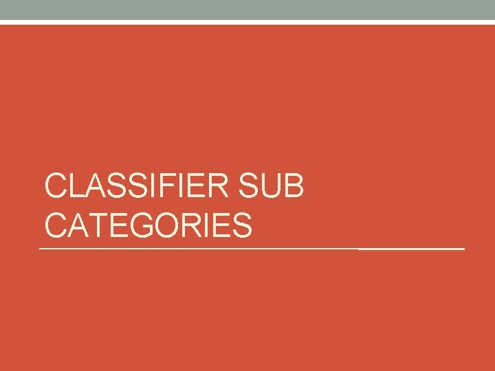 CLASSIFIER SUB CATEGORIES 