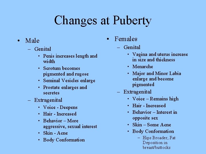 Changes at Puberty • Male – Genital • Penis increases length and width •