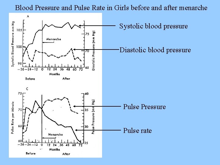 Blood Pressure and Pulse Rate in Girls before and after menarche Systolic blood pressure