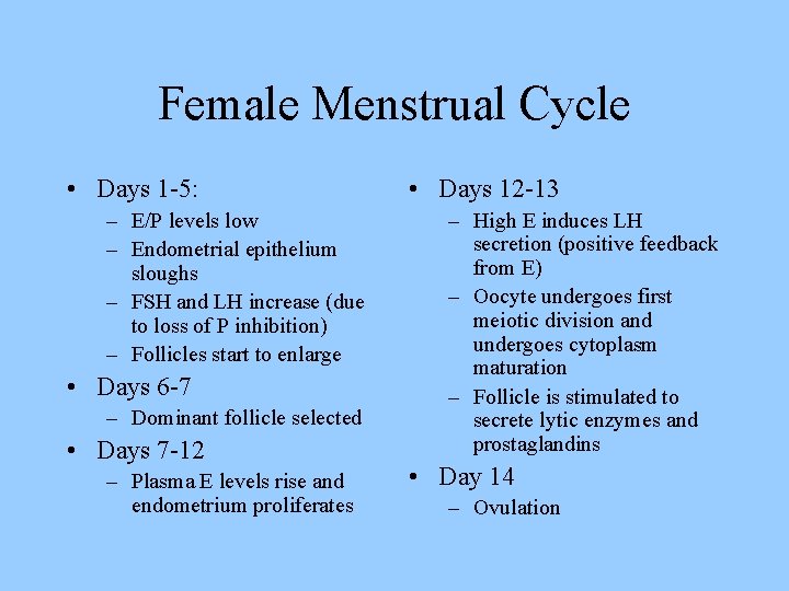 Female Menstrual Cycle • Days 1 -5: – E/P levels low – Endometrial epithelium