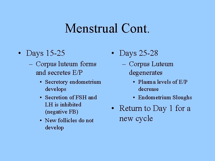 Menstrual Cont. • Days 15 -25 – Corpus luteum forms and secretes E/P •