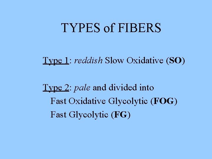 TYPES of FIBERS Type 1: reddish Slow Oxidative (SO) Type 2: pale and divided