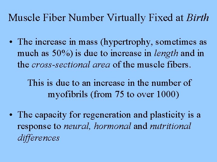 Muscle Fiber Number Virtually Fixed at Birth • The increase in mass (hypertrophy, sometimes