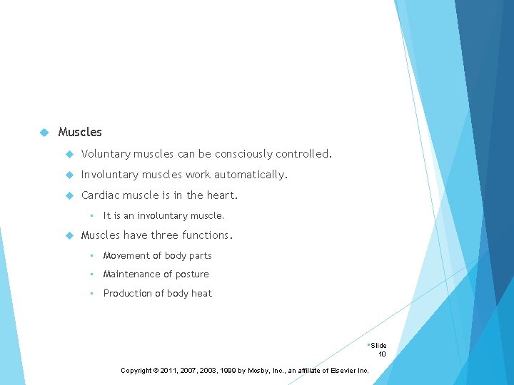  Muscles Voluntary muscles can be consciously controlled. Involuntary muscles work automatically. Cardiac muscle