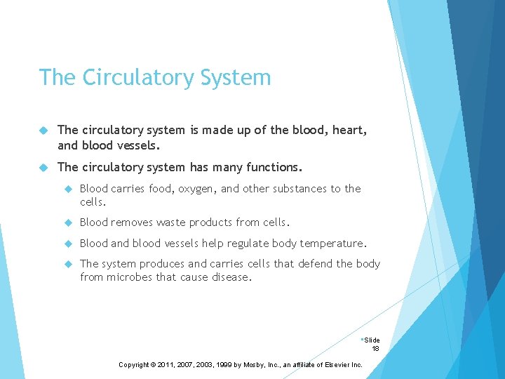 The Circulatory System The circulatory system is made up of the blood, heart, and