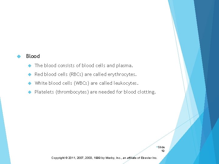  Blood The blood consists of blood cells and plasma. Red blood cells (RBCs)