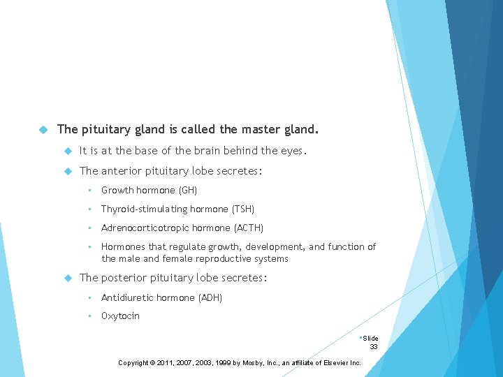  The pituitary gland is called the master gland. It is at the base