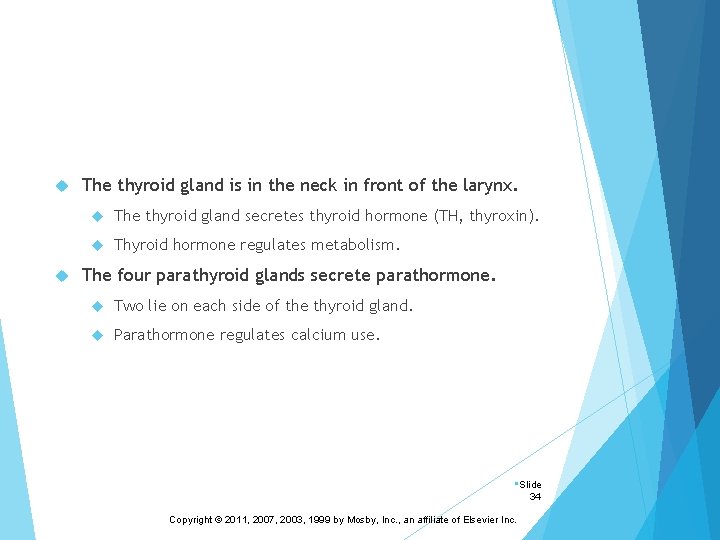  The thyroid gland is in the neck in front of the larynx. The
