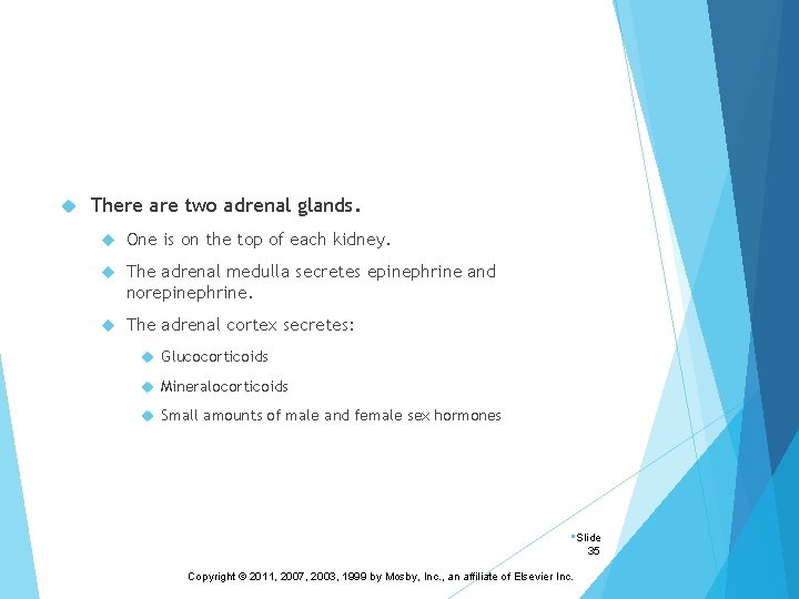  There are two adrenal glands. One is on the top of each kidney.