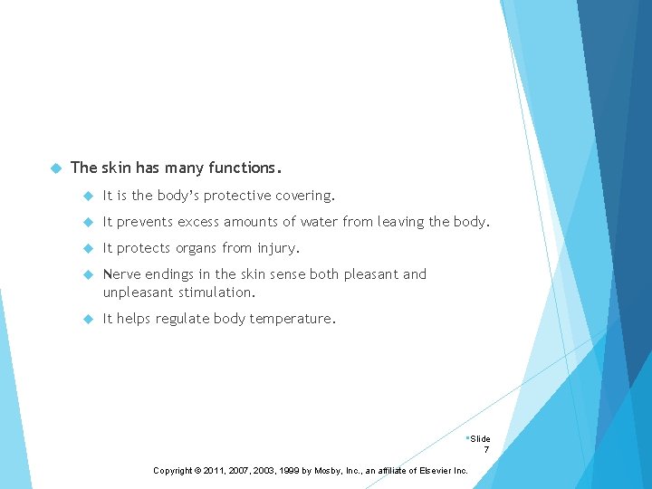  The skin has many functions. It is the body’s protective covering. It prevents