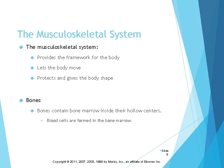 The Musculoskeletal System The musculoskeletal system: Provides the framework for the body Lets the