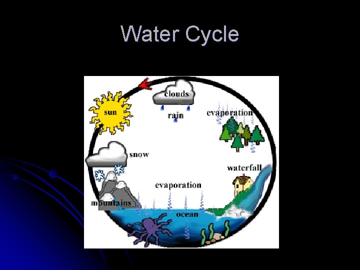 Water Cycle 