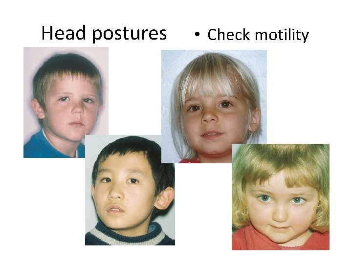 Head postures • Check motility 