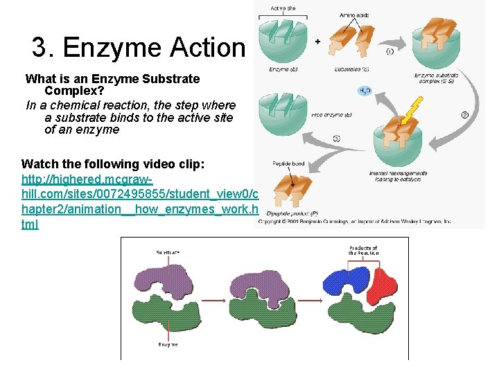 3. Enzyme Action What is an Enzyme Substrate Complex? In a chemical reaction, the