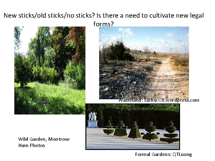 New sticks/old sticks/no sticks? Is there a need to cultivate new legal forms? Wasteland:
