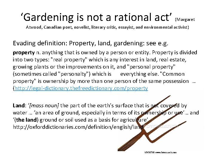 ‘Gardening is not a rational act’ (Margaret Atwood, Canadian poet, novelist, literary critic, essayist,