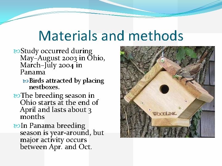 Materials and methods Study occurred during May–August 2003 in Ohio, March–July 2004 in Panama Materials and methods Study occurred during May–August 2003 in Ohio, March–July 2004 in Panama