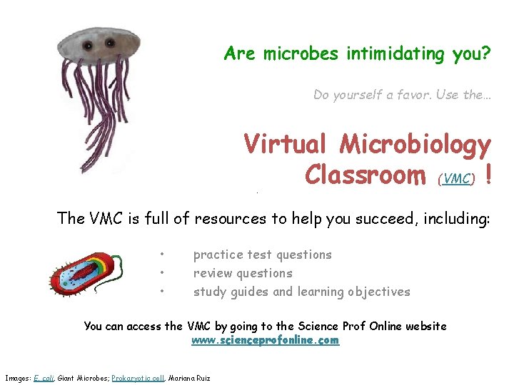 Are microbes intimidating you? Do yourself a favor. Use the… Virtual Microbiology Classroom (VMC)