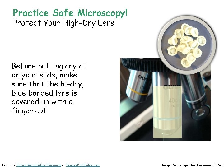 Practice Safe Microscopy! Protect Your High-Dry Lens Before putting any oil on your slide,