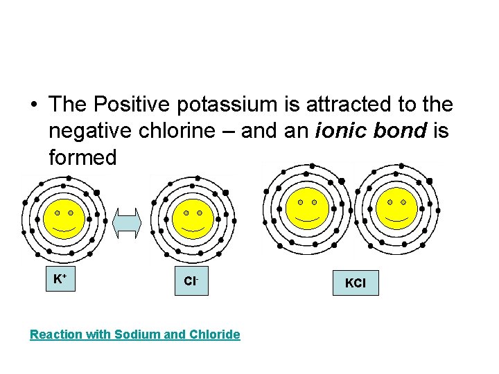  • The Positive potassium is attracted to the negative chlorine – and an