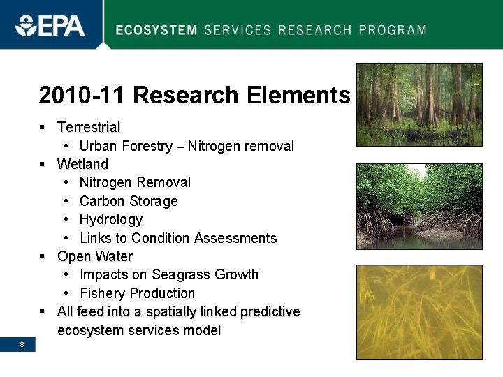 2010 -11 Research Elements § Terrestrial • Urban Forestry – Nitrogen removal § Wetland