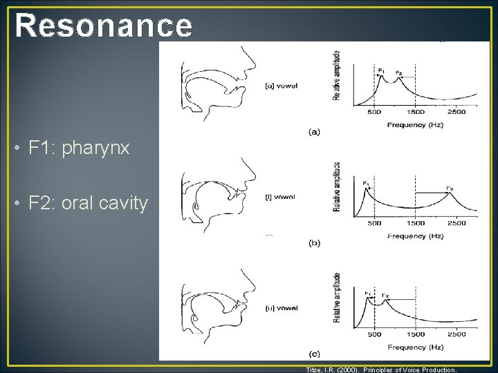 Resonance • F 1: pharynx • F 2: oral cavity Titze, I. R. (2000).