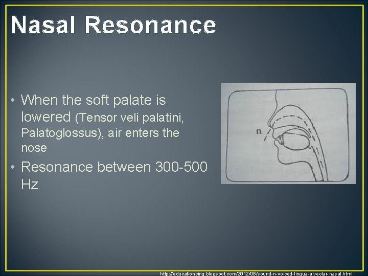 Nasal Resonance • When the soft palate is lowered (Tensor veli palatini, Palatoglossus), air