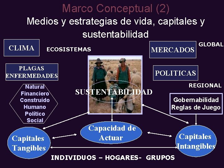 Marco Conceptual (2) Medios y estrategias de vida, capitales y sustentabilidad CLIMA ECOSISTEMAS MERCADOS