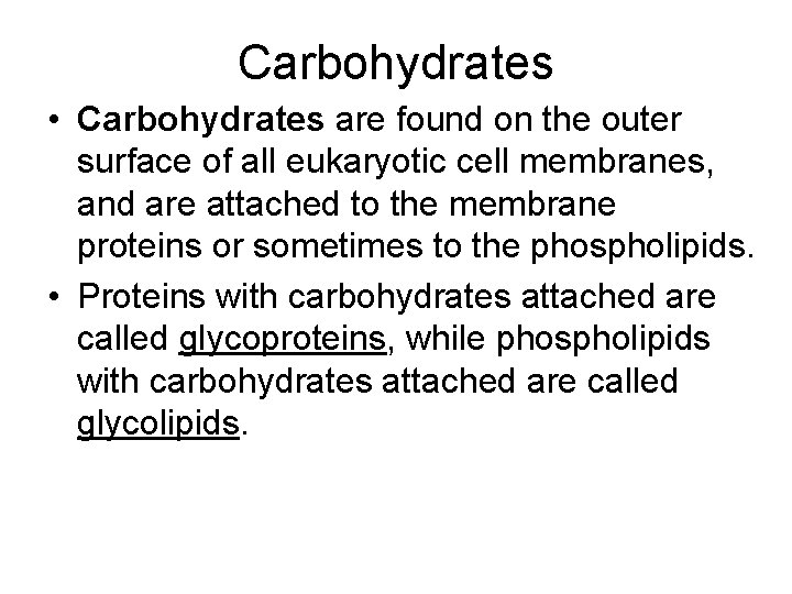 Carbohydrates • Carbohydrates are found on the outer surface of all eukaryotic cell membranes,