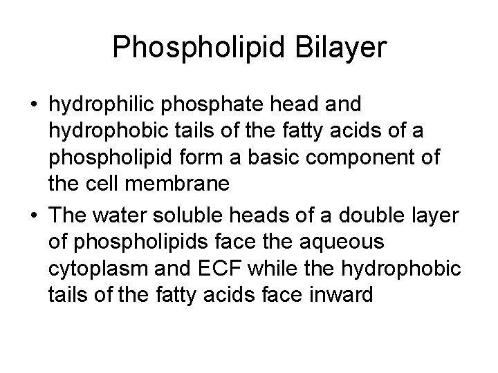 Phospholipid Bilayer • hydrophilic phosphate head and hydrophobic tails of the fatty acids of