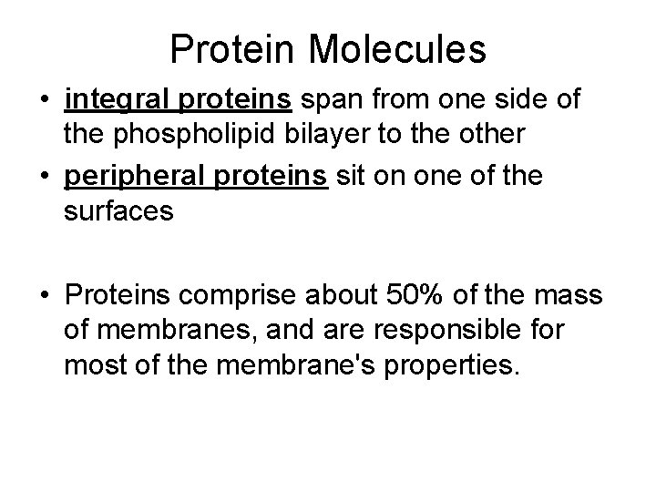 Protein Molecules • integral proteins span from one side of the phospholipid bilayer to