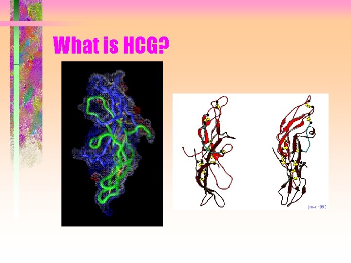 What is HCG? 