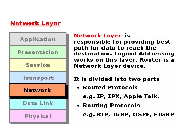 Network Layer 