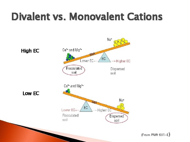 Divalent vs. Monovalent Cations High EC Low EC (From PNW 601 -E) 