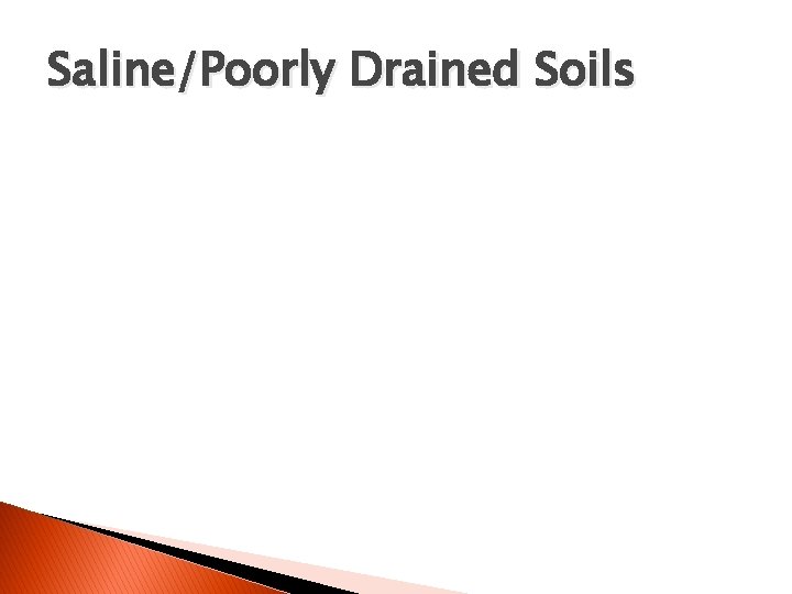 Saline/Poorly Drained Soils 