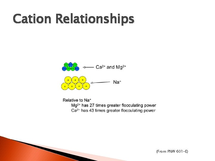 Cation Relationships (From PNW 601 -E) 