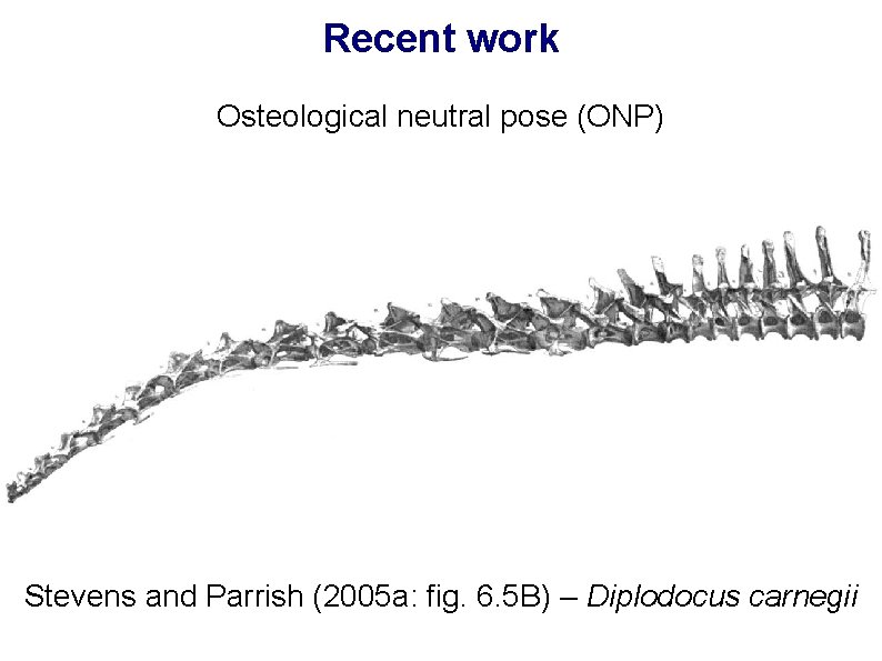 Recent work Osteological neutral pose (ONP) Stevens and Parrish (2005 a: fig. 6. 5