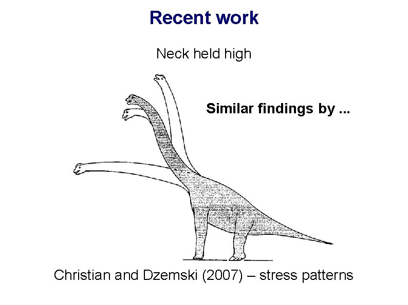 Recent work Neck held high Similar findings by. . . Christian and Dzemski (2007)