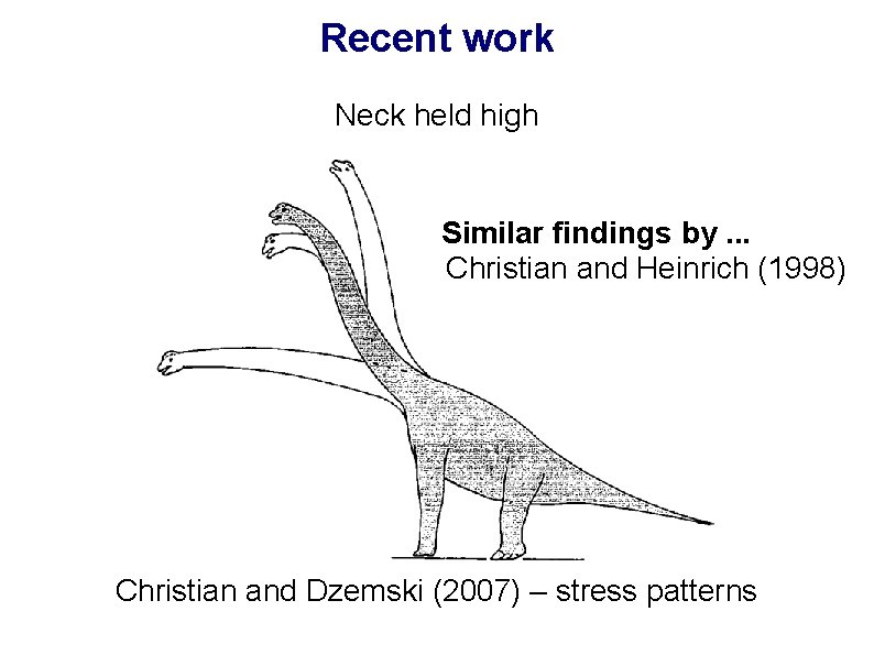 Recent work Neck held high Similar findings by. . . Christian and Heinrich (1998)