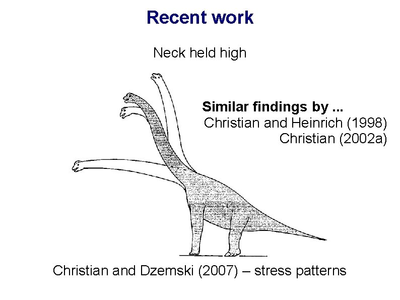 Recent work Neck held high Similar findings by. . . Christian and Heinrich (1998)