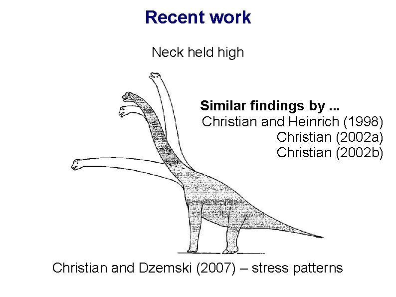 Recent work Neck held high Similar findings by. . . Christian and Heinrich (1998)