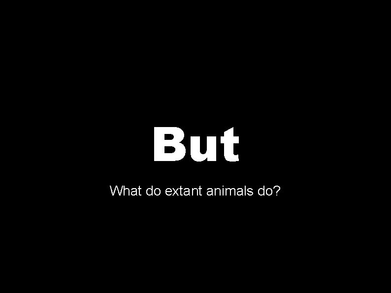 But What do extant animals do? 