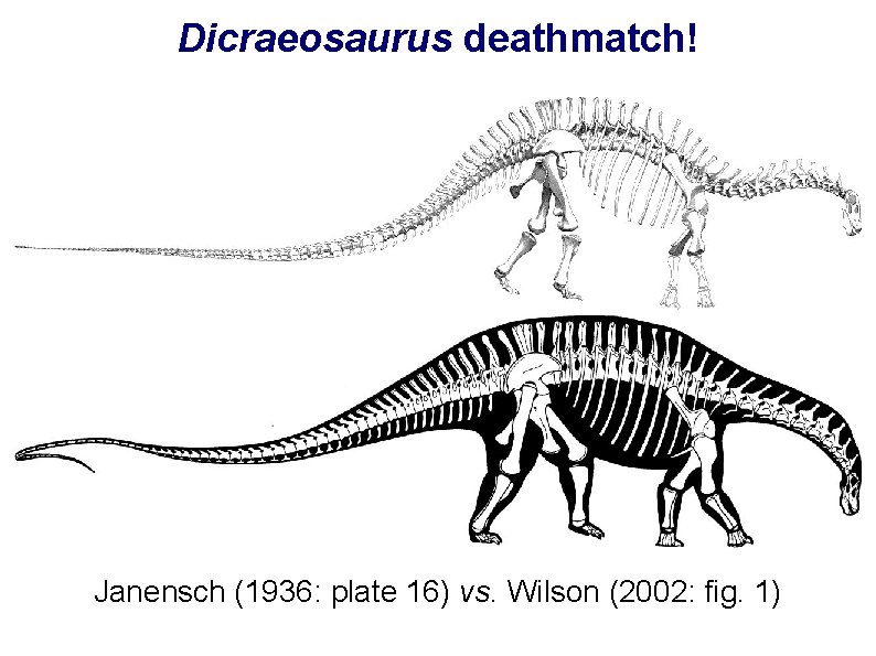 Dicraeosaurus deathmatch! Janensch (1936: plate 16) vs. Wilson (2002: fig. 1) 