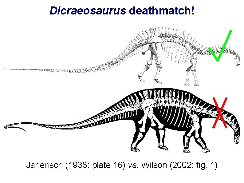 Dicraeosaurus deathmatch! Janensch (1936: plate 16) vs. Wilson (2002: fig. 1) 