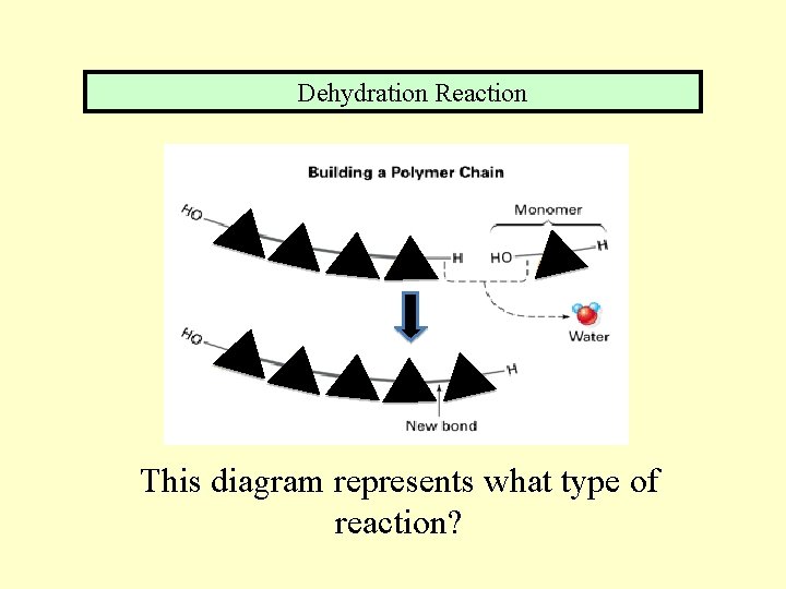 Dehydration Reaction This diagram represents what type of reaction? 