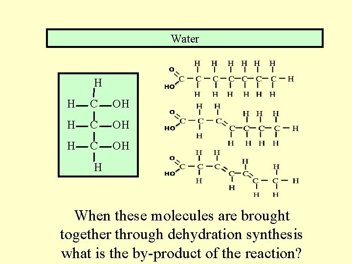 Water H H C OH H When these molecules are brought together through dehydration